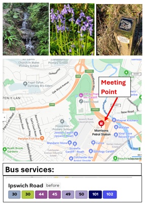 Howardian Nature Reserve pics plus meeting point