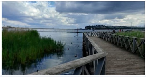 wetlands