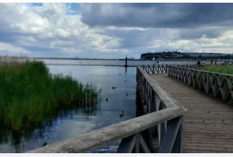 wetlands